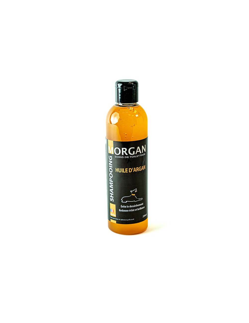 Morgan Shampooing Huile d'Argan – Soin Brillance et Hydratation  250ml