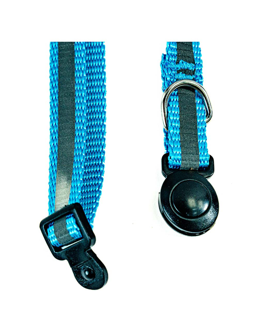 Collier Réglable pour Chat avec Fermeture Sécurisée