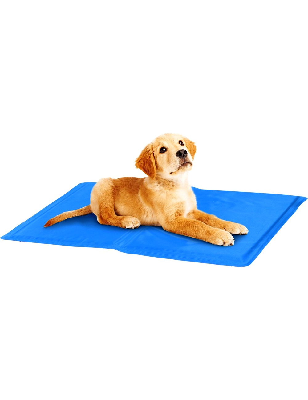 Tapis Rafraîchissant pour Chien et Chat – 30x40 cm