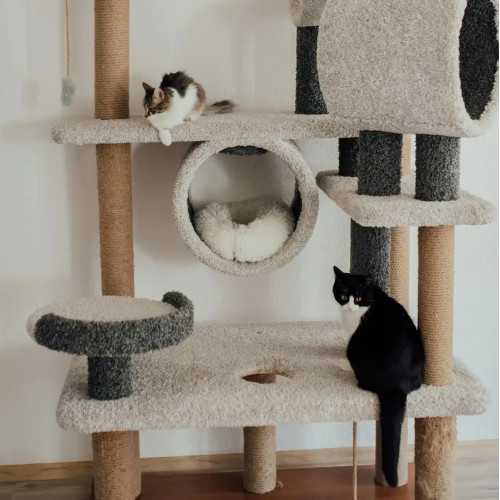 Mobilier et griffoirs