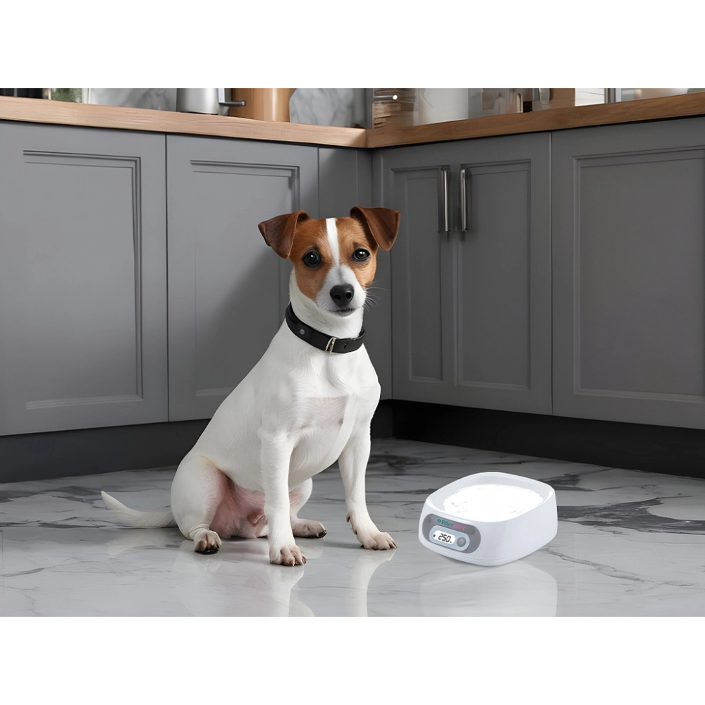 Gamelle avec Balance Intégrée - Contrôle Précis des Rations pour Animaux