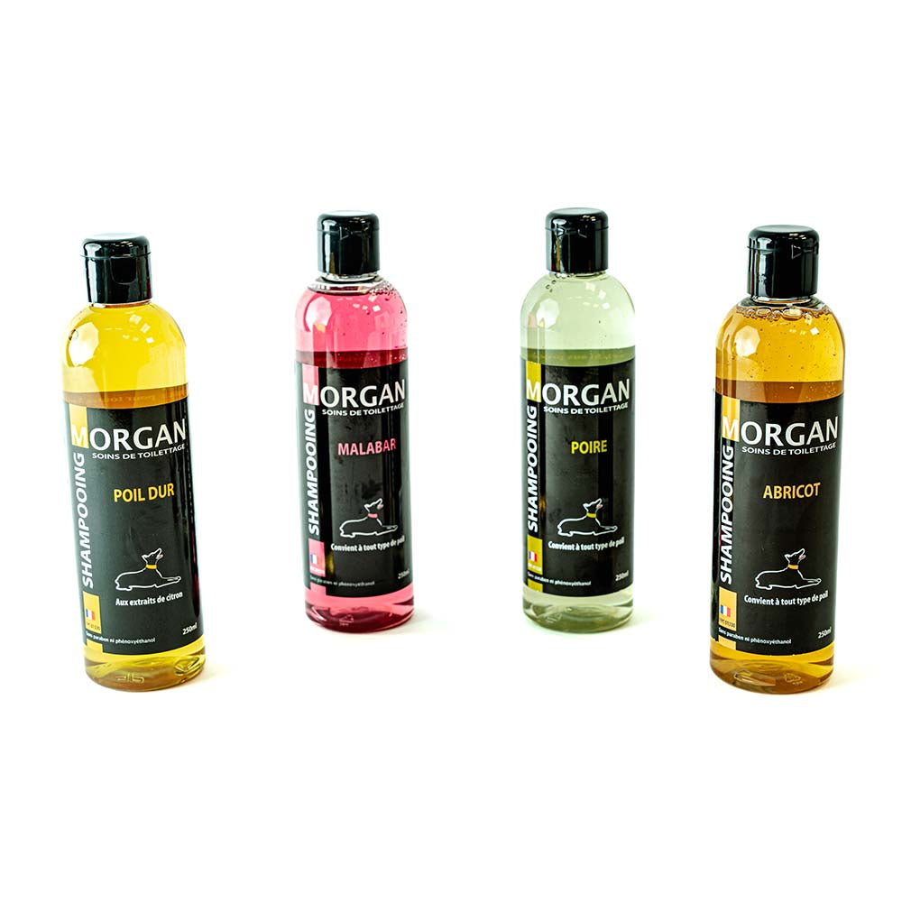 Morgan Apricot Shampoo – Gentle Care and Shine for Dogs and Cats