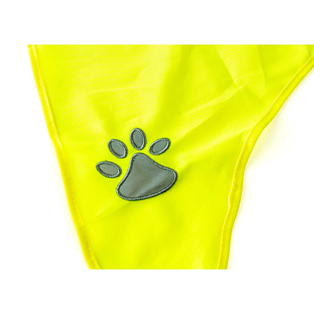 Gilet de Sécurité pour Chien – Haute Visibilité et Confort